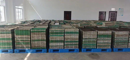 科技賦能農業新篇章 我市首座工廠化水稻集中育秧中心落成啟用